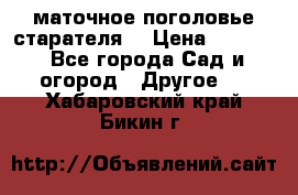 маточное поголовье старателя  › Цена ­ 3 700 - Все города Сад и огород » Другое   . Хабаровский край,Бикин г.